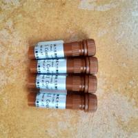 pAdTrack-CMV-EGFP-H1-zsgreen-NeoR-CMV-polyA