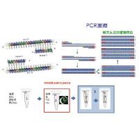 Realtime PCR PreMIX（高ROX sybgreen）
