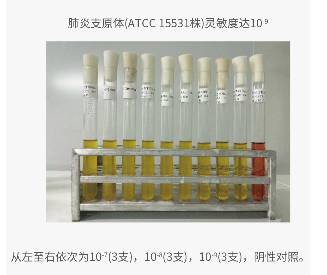 支原体“现形记”：培养、指示、PCR