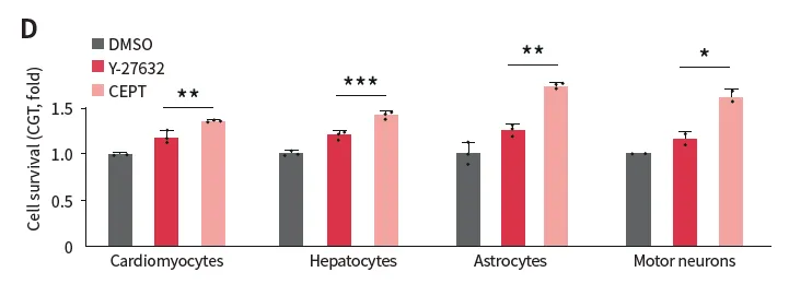 【白皮书】小分子抑制剂:解锁iPSC的新潜能