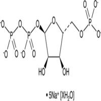 5-Phospho-D-ribose 1-diphosphate (sodium salt hydrate)