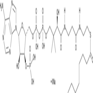 Octanoyl Coenzyme A (sodium salt)