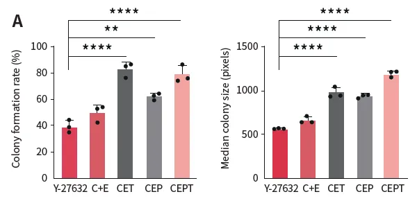 【白皮书】小分子抑制剂:解锁iPSC的新潜能