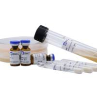 风疹病毒RNA标准品