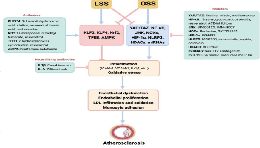 血管内皮细胞机械敏感基因在动脉粥样硬化形成和治疗中的研究进展