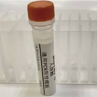 PCR Positive Control (SD human cDNA)(人核酸通用PCR阳性模板)