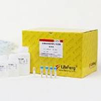 FFPE RNA/DNA提取试剂盒