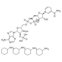 NADPH tetracyclohexanamine