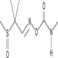 Aldicarb Sulfoxide