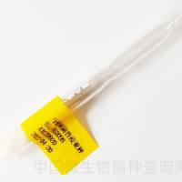 马链球菌兽疫亚种	  