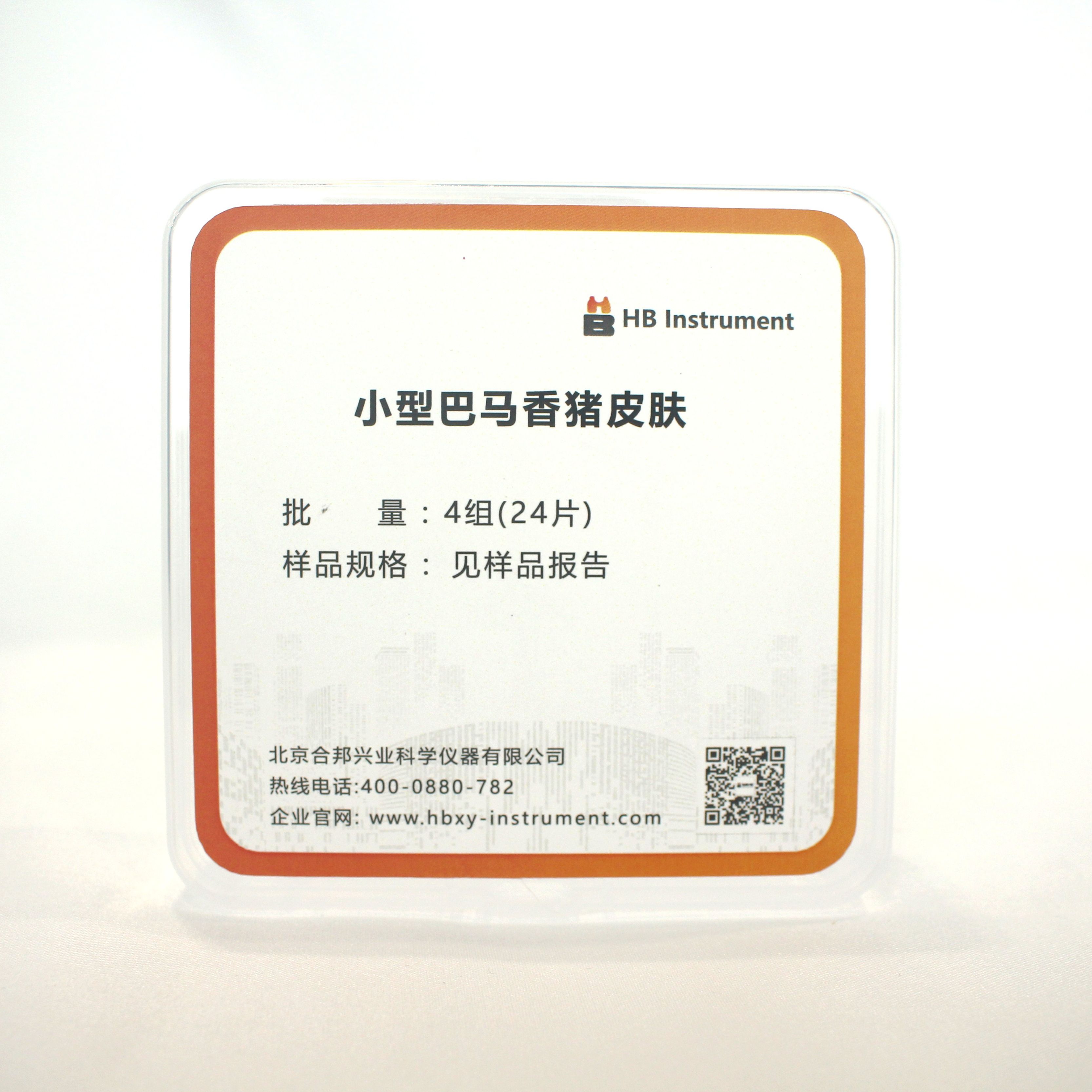 巴马小香猪皮肤