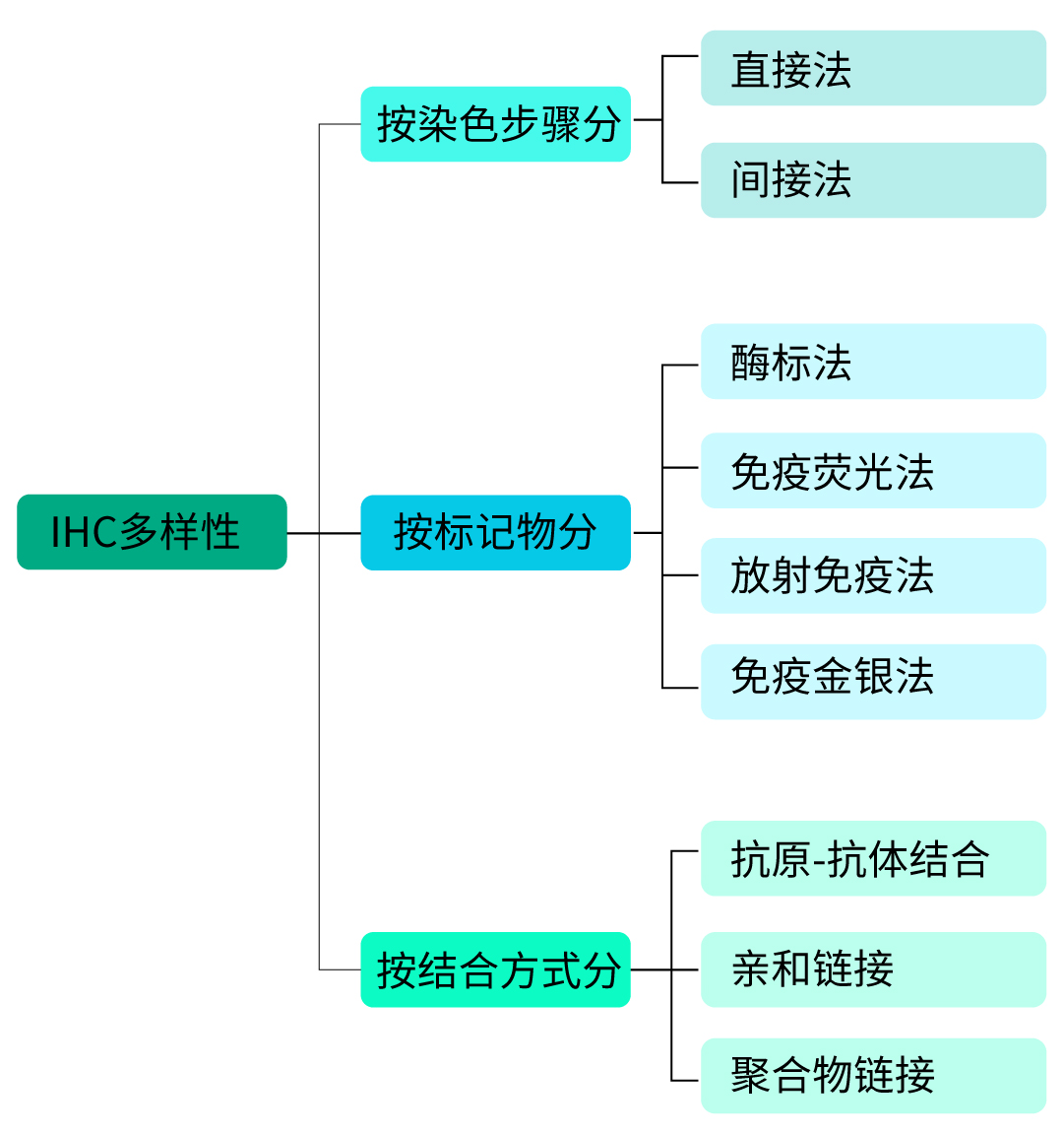 仅需12步，助你做出完美免疫组化IHC片子