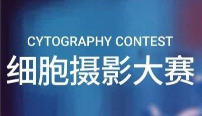 结果公布 | MCE 第三届细胞摄影大赛圆满落幕，一起来欣赏科研美图 |MCE