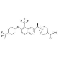 Autotaxin modulator 1