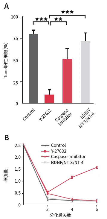 【白皮书】小分子抑制剂:解锁iPSC的新潜能