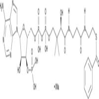 Benzoyl Coenzyme A (sodium salt)