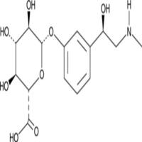 Phenylephrine Glucuronide