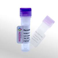 Wissen 抗人CD3单克隆抗体 CD3 mAb CT-171A 500ug