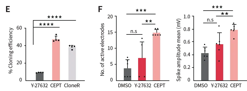 【白皮书】小分子抑制剂:解锁iPSC的新潜能