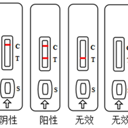 布氏菌抗体检测试剂盒（胶体金免疫法）