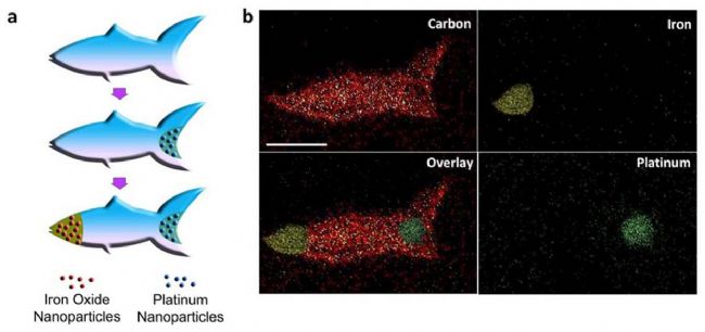 技术资料图片18