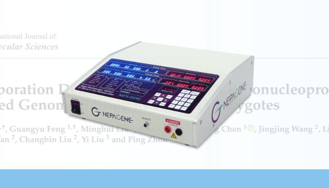 【重磅】电转利器NEPA21，助力绵羊IVF受精卵基因组编辑