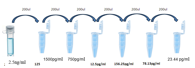 Mouse IL-12p70 ELISA
