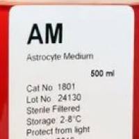 星形胶质细胞培养基,AM (Astrocyte Medium)
