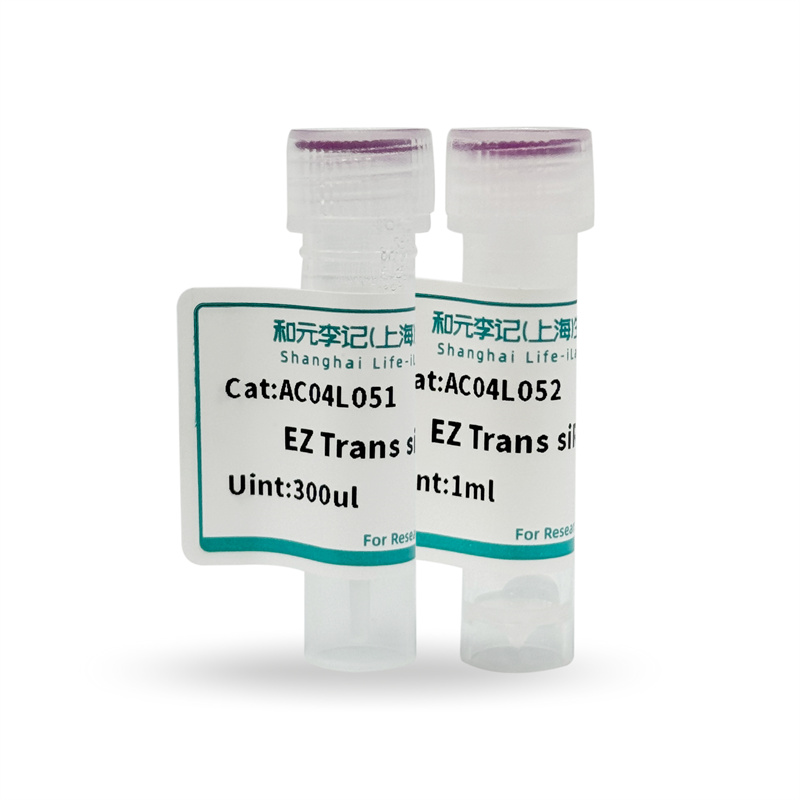 siRNA转染实验步骤及实验原理