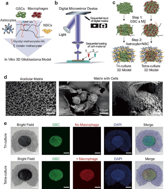 技术资料图片10