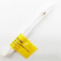 肠膜明串珠菌