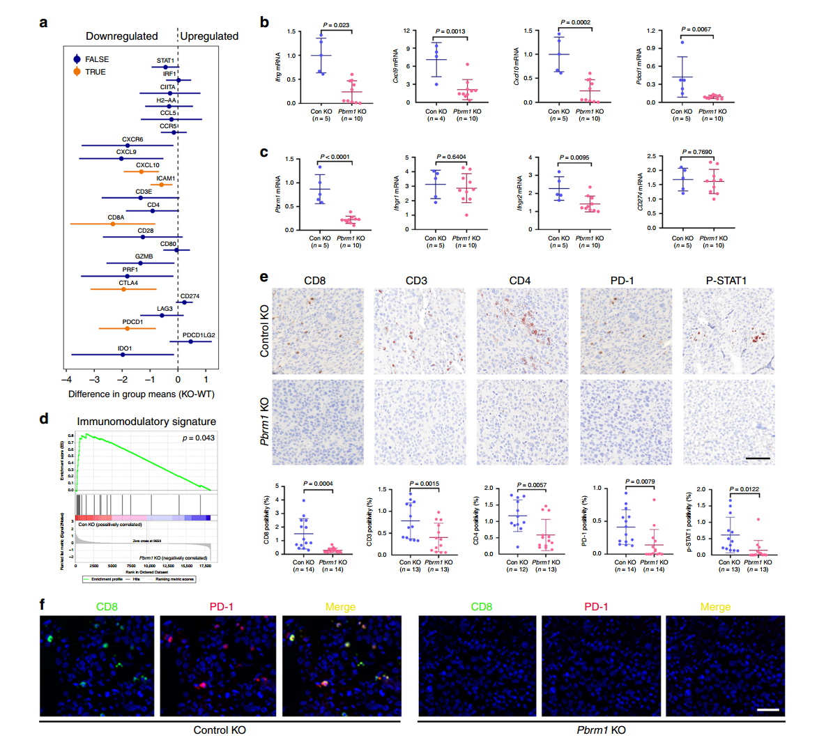 基因编辑研究聚焦PKM1、PBRM1和S100A9基因敲除
