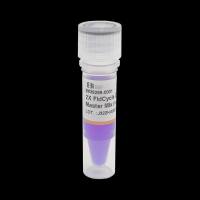 B639299-0001生工2X FidCycle Evo高保真PCR Mix含蓝染料1ML BBI