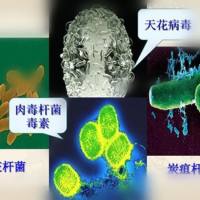 防疫站用A型肉毒杆菌抗体快速检测卡