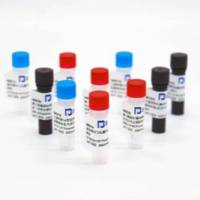 C反应蛋白(CRP)溶液纯度标准品