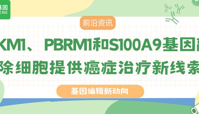 基因编辑研究聚焦PKM1、PBRM1和S100A9基因敲除