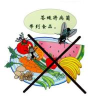 B型葡萄球菌昌肠毒素SEB快速检测试剂(金标法)说明书