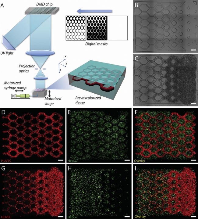 技术资料图片12