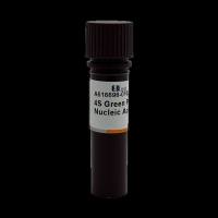 A616696-0100生工4S Green Plus无毒核酸染料100ul用作染色剂BBI