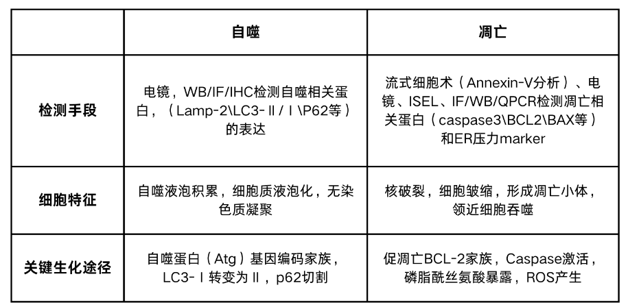 技术资料图片1