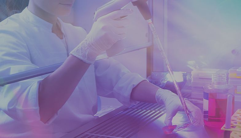 生物碱的常用的显色剂简介