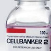 CELLBANKER 2 (100ml)，AMSbio