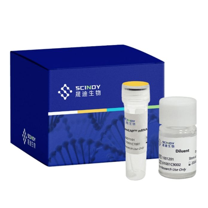 NeoLNP™脂质纳米粒体内转染试剂盒（动物转染）