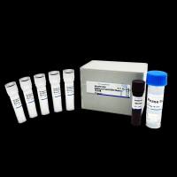 B532955-0005生工SGExcel FastSYBR Master预混液5ML荧