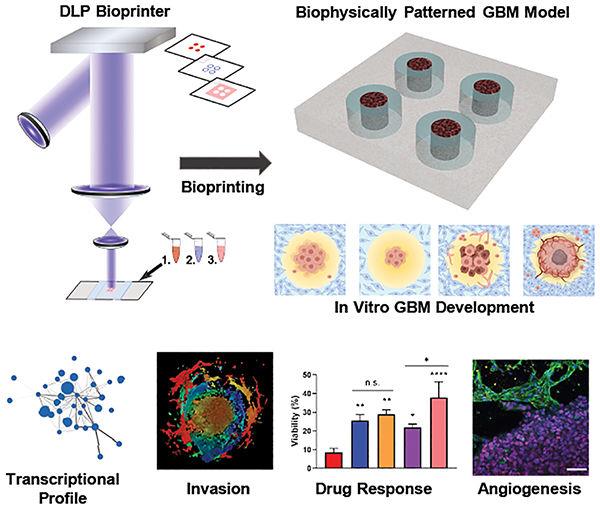 技术资料图片11