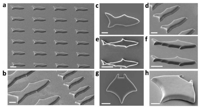 技术资料图片17