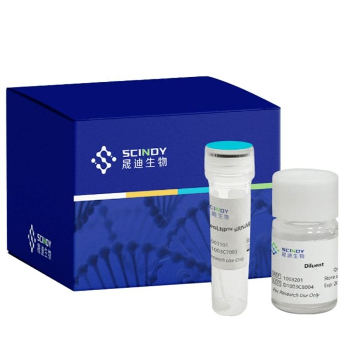 NeoLNP™脂质纳米粒细胞转染试剂盒(常用细胞型)