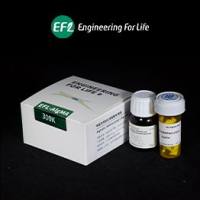 EFL货号EFL-AlgMA-50K与EFL-AlgMA-300K甲基丙烯酰化海藻酸钠(AlgMA)上海睿安生物13611631389