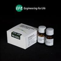 多孔甲基丙烯酰化明胶(多孔GelMA)EFL货号EFL-GM-PR-001、EFL-GM-PR-002上海睿安生物13611631389