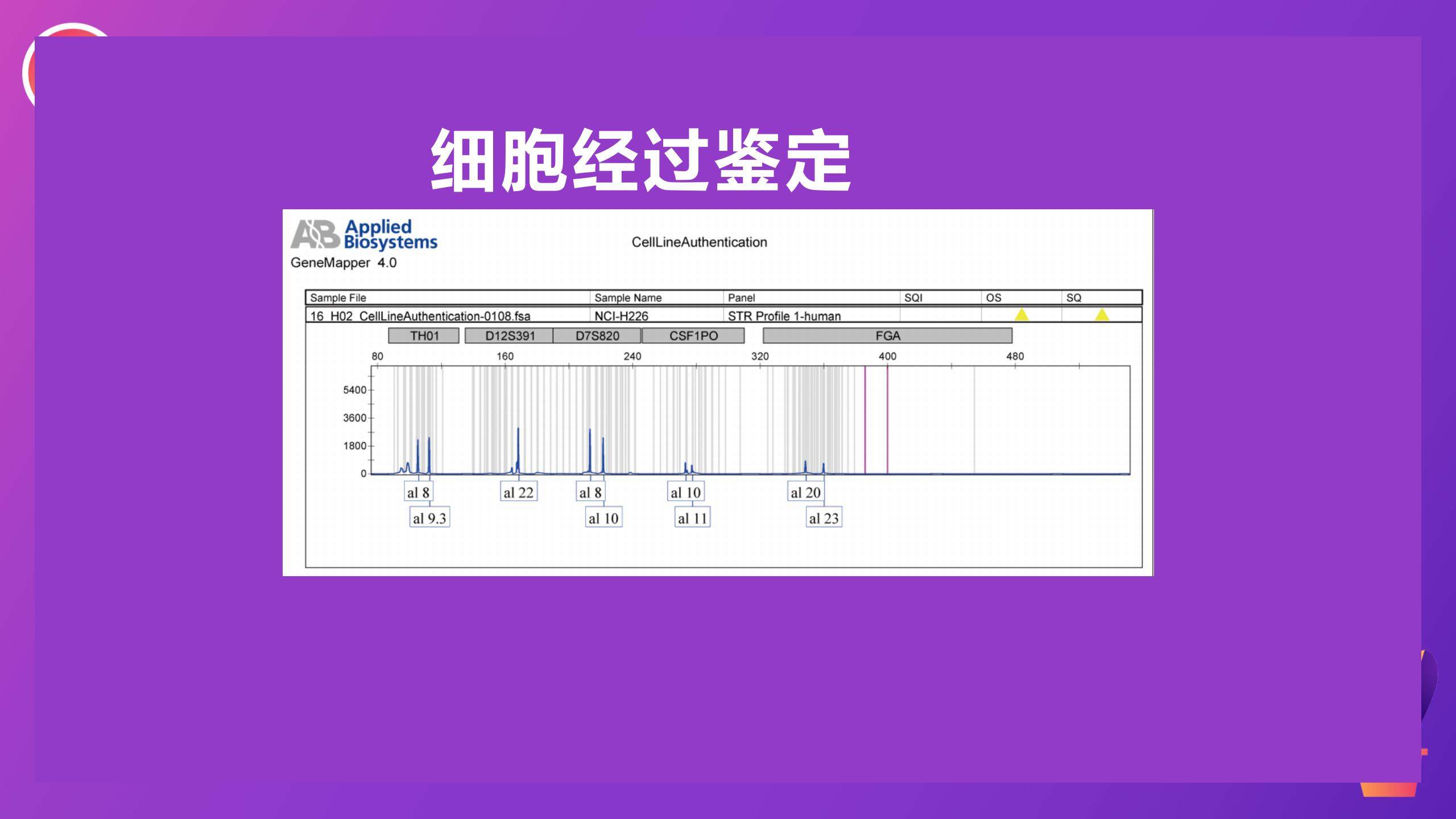 人肾透明细胞腺癌细胞786-O(STR鉴定正确)